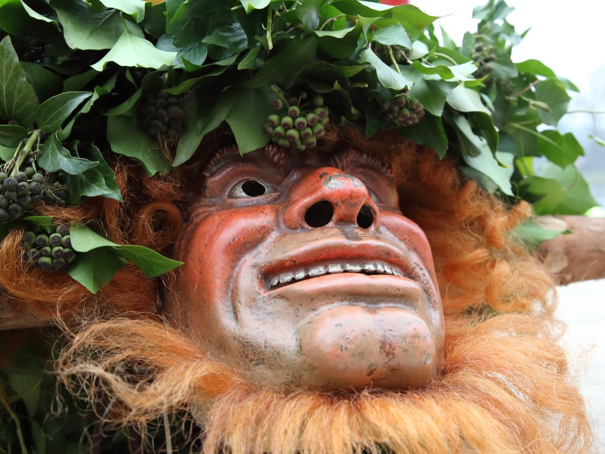 vg22 11 wild maa maske