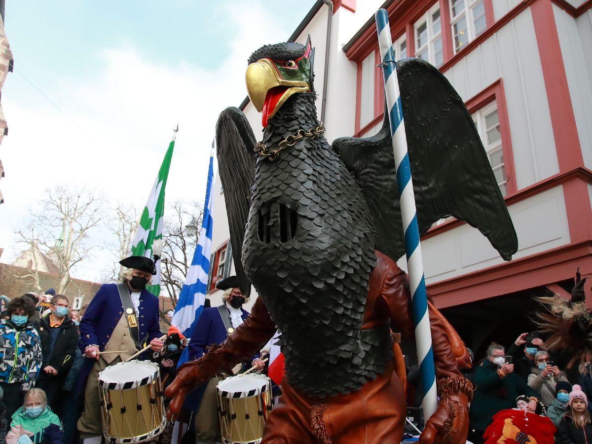 vg22 30 vogel gryff waisenhaus