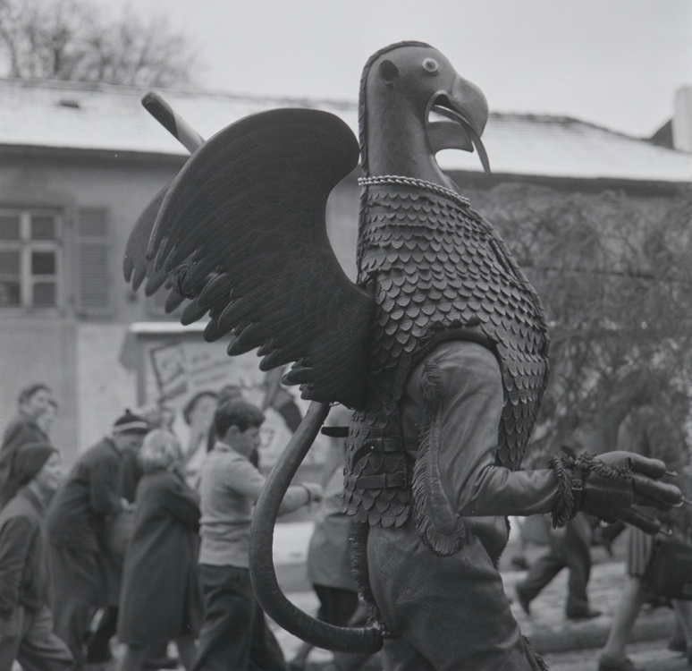 vogel gryff nahaufnahme 