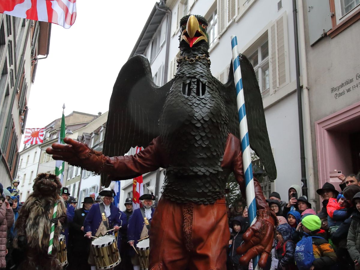 vogelgryff25