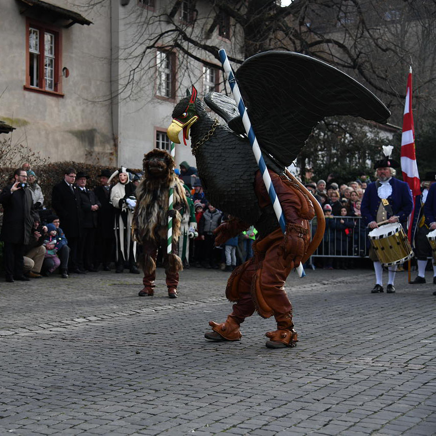 Gryff beim Klingental